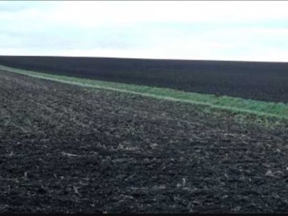 Земельна ділянка С/Г призначення Заставнівський р/н Киев