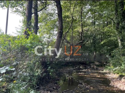 Ділянка біля річки та лісу Ужгород