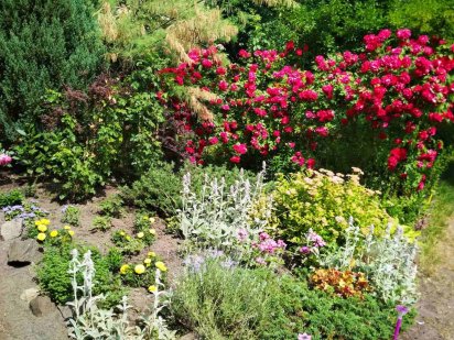 Продаж ботанічного саду Русанівські сади Садова 18 Киев