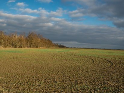 Продам 4000 га землі, оренда на ТОВ Киев