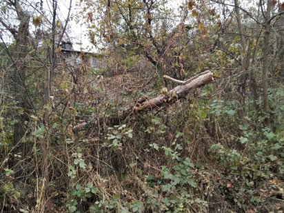 Продам земельный участок в Соломенском р-не г. Киев Киев