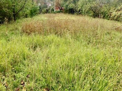 Ділянка на Іванківській Червениця Ужгород