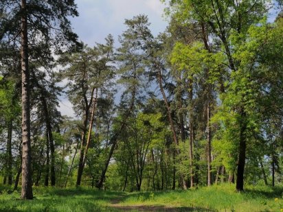 Земельна ділянка в елітному р-н Соснівка яка немає аналогів Черкаси