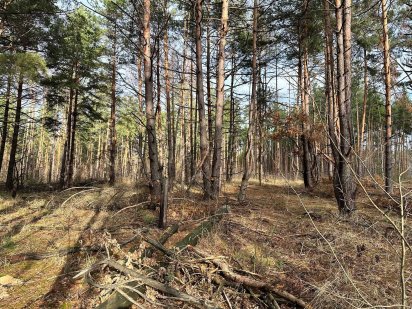 Земля під будівництво Биківня Киев