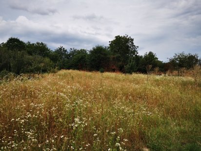 Продаж земельної ділянки під ОСГ
