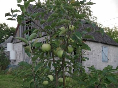 продам дачный участок Днепр