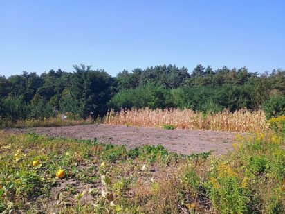 Земельна ділянка 8 соток Винница