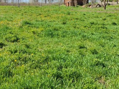 Терміновий продаж Земельна ділянка для сг в Гавришівці