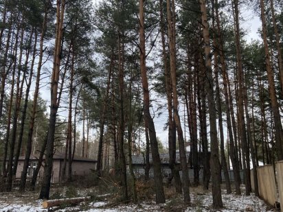 Земельна ділянка 10 соток під забудову Биківня Киев