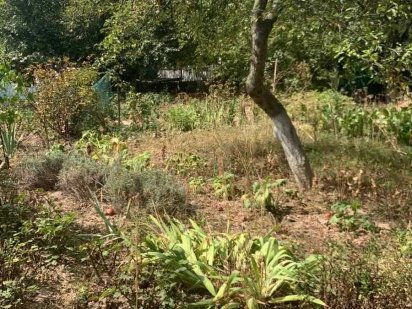 Продається земельна ділянка район Бучми 9726