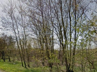 Земельна ділянка під промисловість Житомир, вул Звягельська Житомир