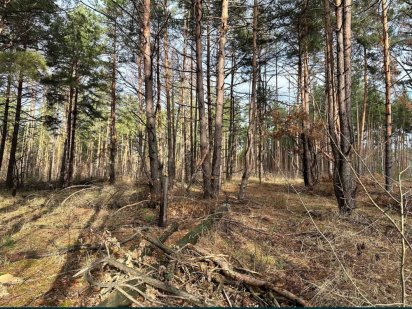 ‼️Земля‼️Лес. Быковня 10 сот, (метро лесная, Броварской проспект) Киев