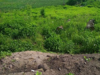 Продам участок Андрушівка Житомир