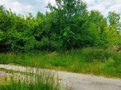 № 11809 - Ділянка, 15 сот., Марянівка, Саенко Житомир