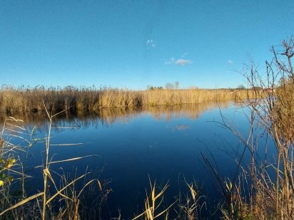 Продам ділянку зі своїм берегом, рн Приднепровска. Днепр