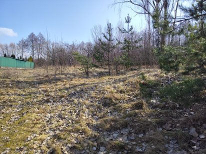 Дача земельна ділянка Житомир