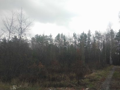 Продам участок 9 соток в дачному кооперативі ДІброва Житомир