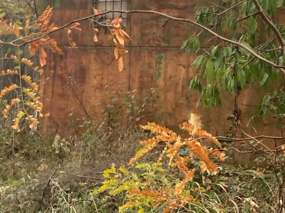 продам ділянку з фундаментом Ужгород