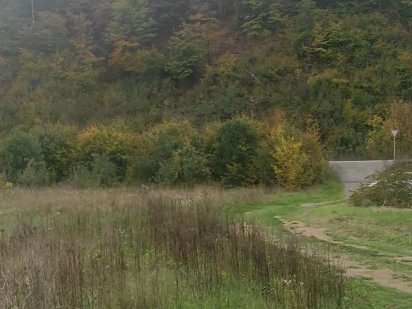 Ділянка 40 соток, при центральній дорозі. Закарпаття Ужгород