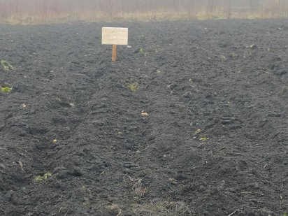 Власник Тяжилів. в. Східна СТО Вінниця