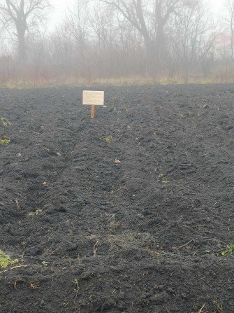 Власник Тяжилів. в. Східна СТО - фото 1
