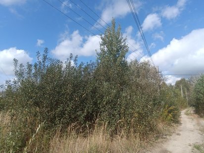 Ділянка 15 с в Барашівському масиві Житомир