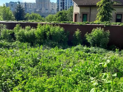 Ділянка. Київ. Центр. Центральна частина.