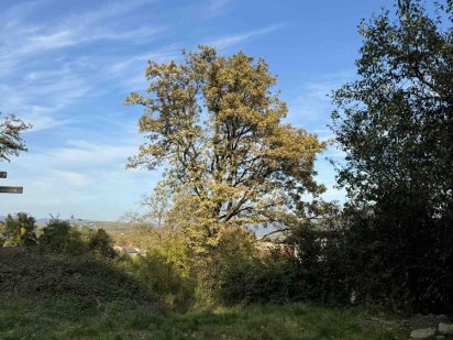 Продаж ділянки з неймовірним краєвидом Ужгород