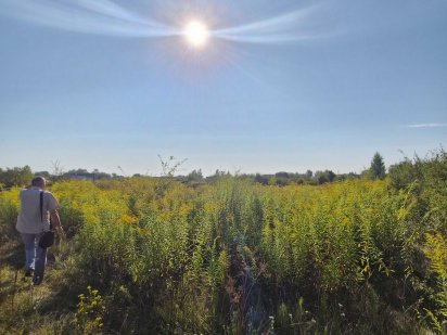 Продається земельна ділянка 12 сот Смоківка Житомир
