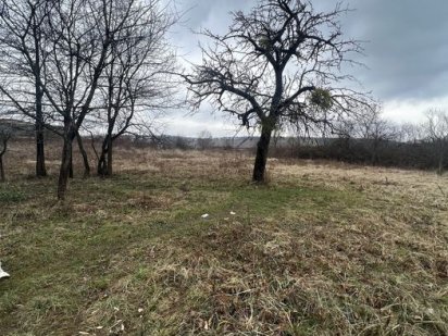 Продаж земельних ділянок