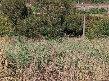 Продаж земельної ділянки по вул. І. Федорова 7 соток Винница