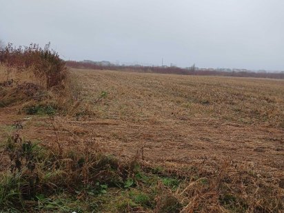 Ділянка 1 га в Минаї Ужгород