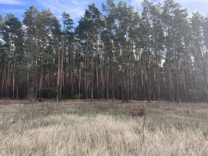 Ділянка що примикає до лісу в 10хв від м.Лісова Киев