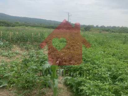 Продаж ділянки в Доманинцях 10 сот. Ужгород