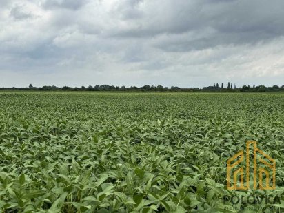 Продаж земельної ділянки | Сторожниця