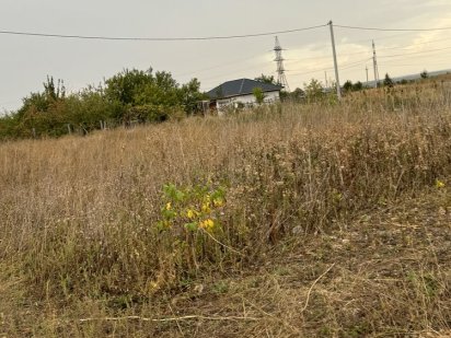 Земельна ділянка Соколівка -Жадова. Кропивницький