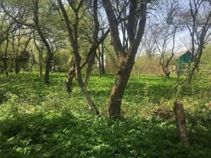 Продаж земельної ділянки Львів , Шевченківський район . Львов