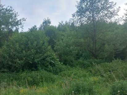 Продаж земельної ділянки в м Львів по вул. Орлика