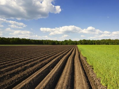 Продам земельний пай Дніпро