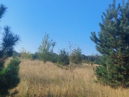 Продаж земельної ділянки Львів-Рясне Львов