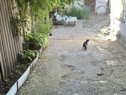 Участок центр города Миколаїв