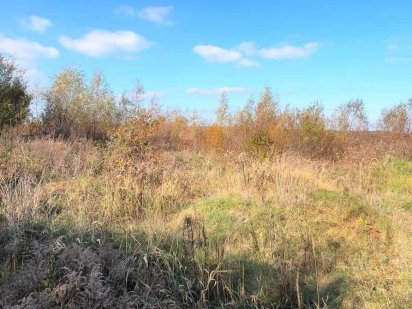 Продаж ділянки Білогорща