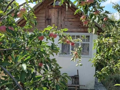 Дача на Песецкого (12 соток) Кропивницкий