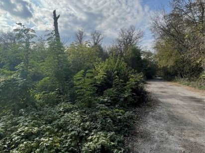 Продам земельну ділянку 22 сотки в районі лісопаркової. Кропивницкий