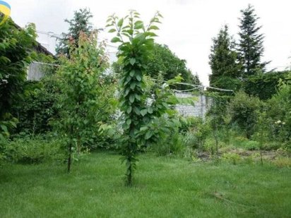 Участок рядом с морем Одеса