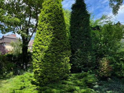 10 соток! 10 ст.Большого Фонтана! Фасад 25 м! Одесса