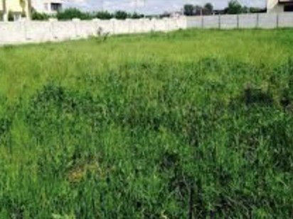 Участок 8.5 соток Аркадия