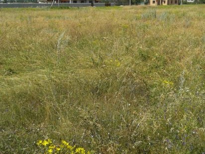 Продам земельный участок за Эпицентром.ОБМЕН. Миколаїв