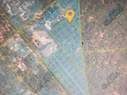 Продаж земельна ділянка 1.1 га Пуща Водиця Київ