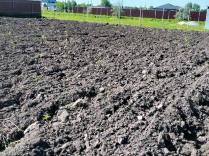 Фасадна земельна ділянка  м.Бориспіль 10 соток Участок.. Фасад 26.7 м. Бориспіль